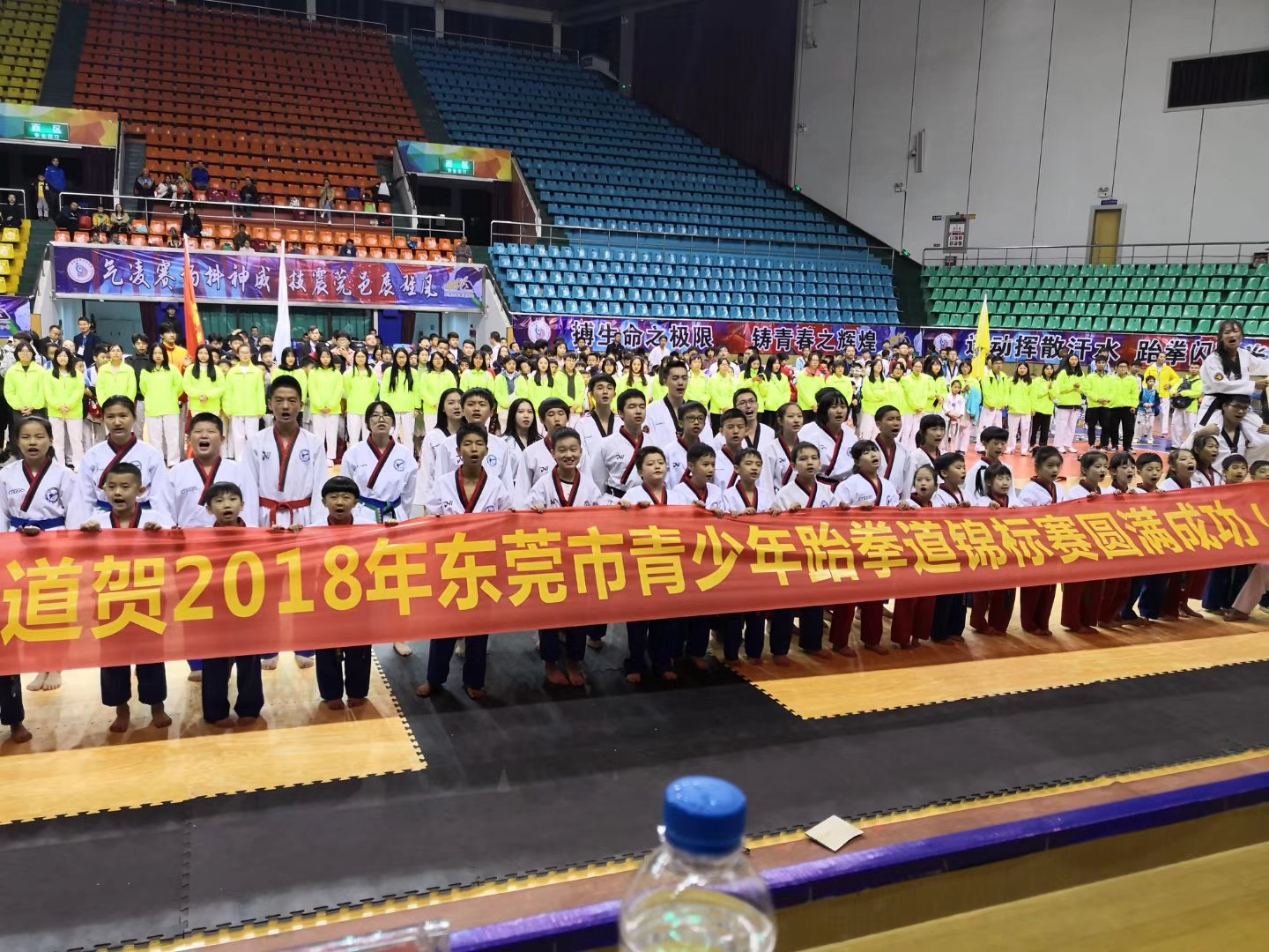 2018年东莞市青少年跆拳道锦标赛